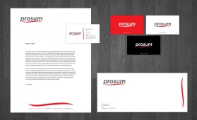 Prosum LLC entry by adyyy