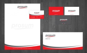 Prosum LLC entry by adyyy