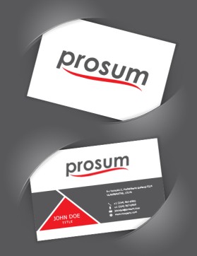 Prosum LLC entry by adyyy