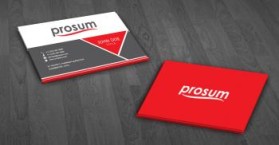 Prosum LLC entry by adyyy