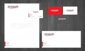 Prosum LLC entry by adyyy