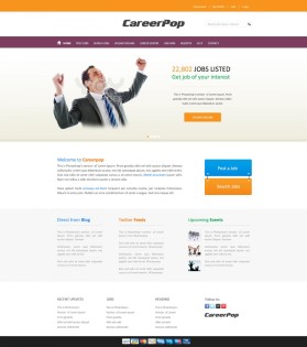 CareerPop entry by wirepaper