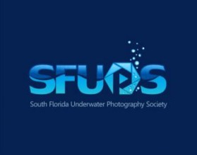 South Florida Underwater Photography Society entry by Nitin Shankardas
