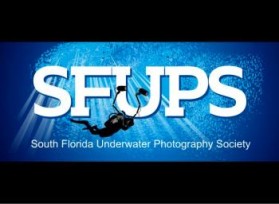 South Florida Underwater Photography Society entry by Nitin Shankardas