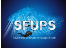 South Florida Underwater Photography Society entry by Nitin Shankardas
