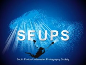 South Florida Underwater Photography Society entry by Nitin Shankardas