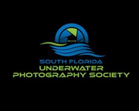 South Florida Underwater Photography Society entry by Dimitris