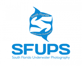 South Florida Underwater Photography Society entry by Steve Gardner