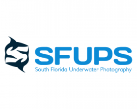 South Florida Underwater Photography Society entry by Steve Gardner