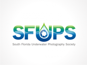 South Florida Underwater Photography Society entry by Nitin Shankardas