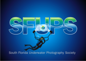 South Florida Underwater Photography Society entry by Nitin Shankardas