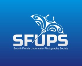 Photography Logos design