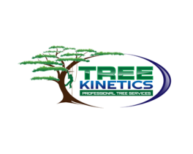 Logo Design entry 728838 submitted by buboy143