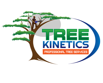 Logo Design entry 728869 submitted by buboy143