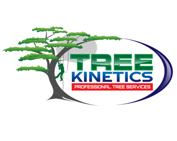 Logo Design entry 729021 submitted by buboy143