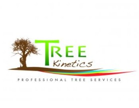 Logo Design entry 729143 submitted by CGcreate