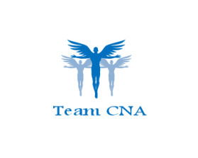 Team CNA entry by MemMa