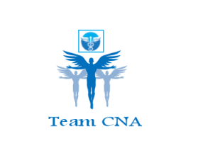 Team CNA entry by MemMa