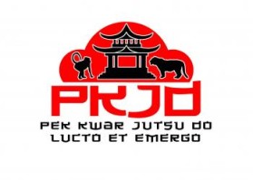 Pek Kwar Jutsu Do entry by shefkire