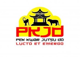 Pek Kwar Jutsu Do entry by shefkire