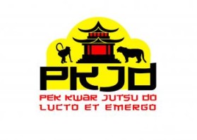 Pek Kwar Jutsu Do entry by shefkire