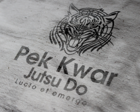 Pek Kwar Jutsu Do entry by designer.daddy