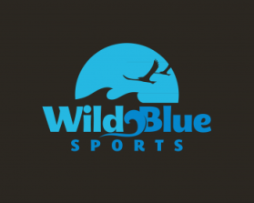 WildBlueSports entry by Lesley Ann A. Alderite