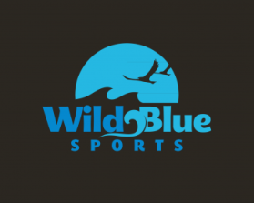 WildBlueSports entry by Lesley Ann A. Alderite