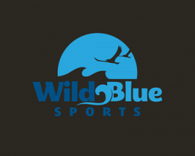 WildBlueSports entry by Lesley Ann A. Alderite