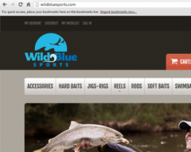 WildBlueSports entry by Lesley Ann A. Alderite