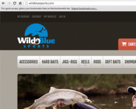 WildBlueSports entry by Lesley Ann A. Alderite