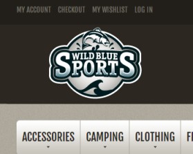 WildBlueSports entry by Karunesh Panwar