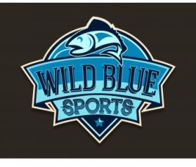 WildBlueSports entry by Mikhail Anthony D. Aldonza