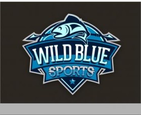 WildBlueSports entry by Mikhail Anthony D. Aldonza