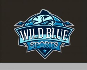 WildBlueSports entry by Mikhail Anthony D. Aldonza