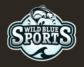 WildBlueSports entry by Karunesh Panwar
