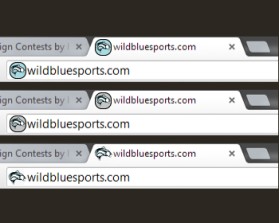 WildBlueSports entry by Karunesh Panwar