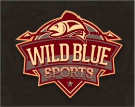 WildBlueSports entry by Mikhail Anthony D. Aldonza