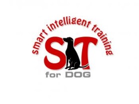 SIT FOR DOGS   entry by Adam