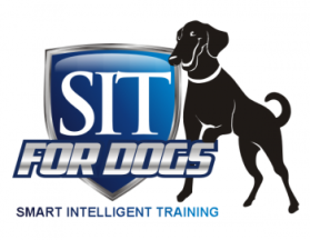 SIT FOR DOGS   entry by Eminence