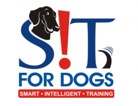 SIT FOR DOGS   entry by Eminence