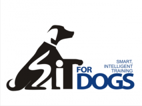 SIT FOR DOGS   entry by Eminence
