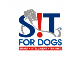 SIT FOR DOGS   entry by Eminence