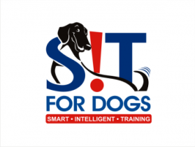SIT FOR DOGS   entry by Eminence