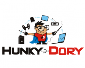 Hunky Dory entry by Nitin Shankardas