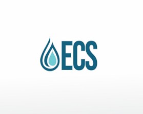 ECS entry by websourcing