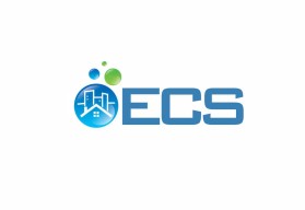 ECS entry by websourcing