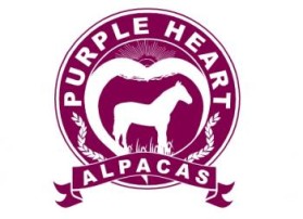 Purple Heart Alpacas entry by lizzyodu