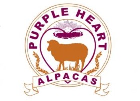 Purple Heart Alpacas entry by lizzyodu
