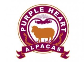 Purple Heart Alpacas entry by lizzyodu
